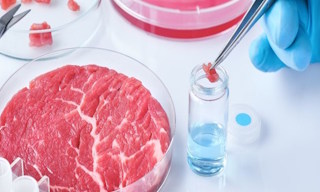 Лабораторный анализ пищевых продуктов по СанПиН в Волжском в октябре