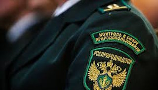 Подготовка к проверке Росприроднадзора в Волжском от ПромМир-Влж, стоимость услуги от 20260 руб.